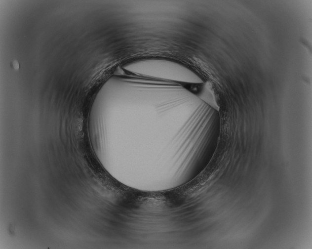 X0000091210548200709061441