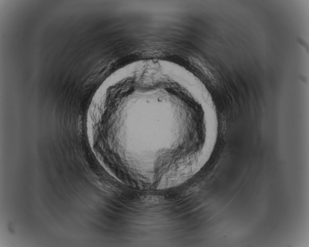 X0000091210549200709061441