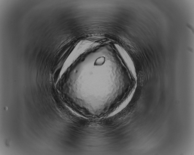 X0000091210550200709061441