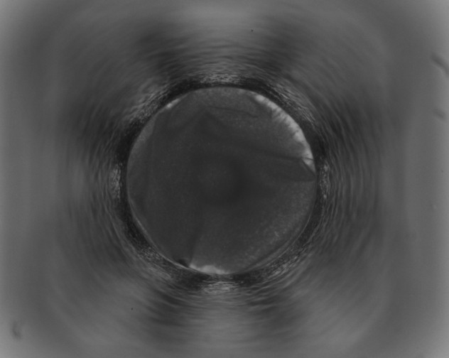 X0000091210551200709061441