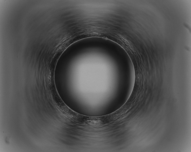 X0000091210552200709061441