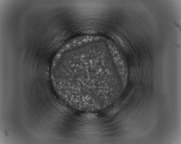 X0000091210553200709061441