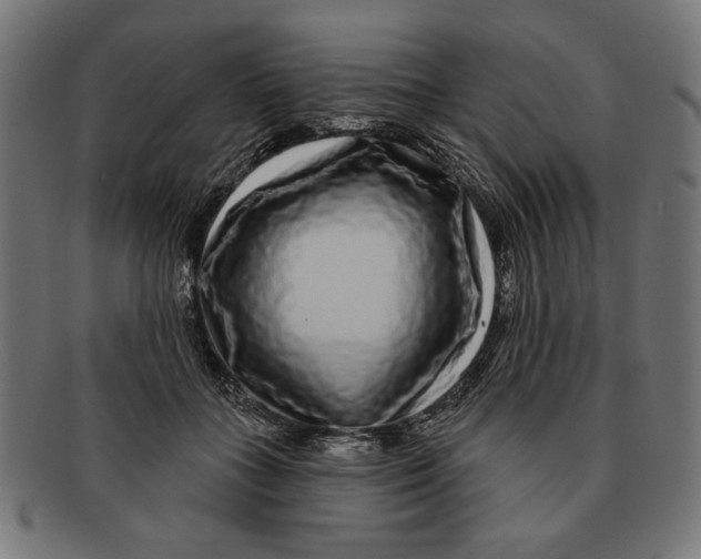 X0000091210555200709061442