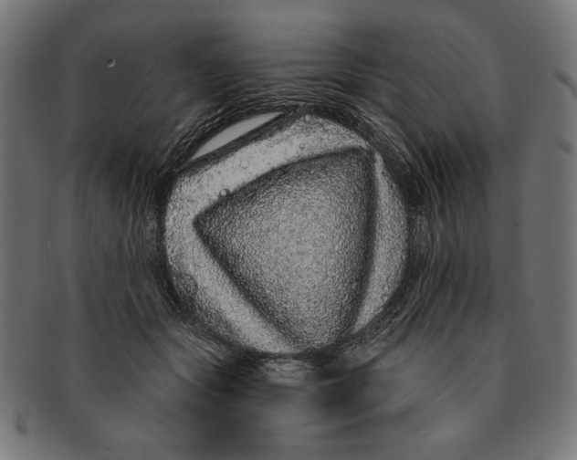 X0000091210557200709061442