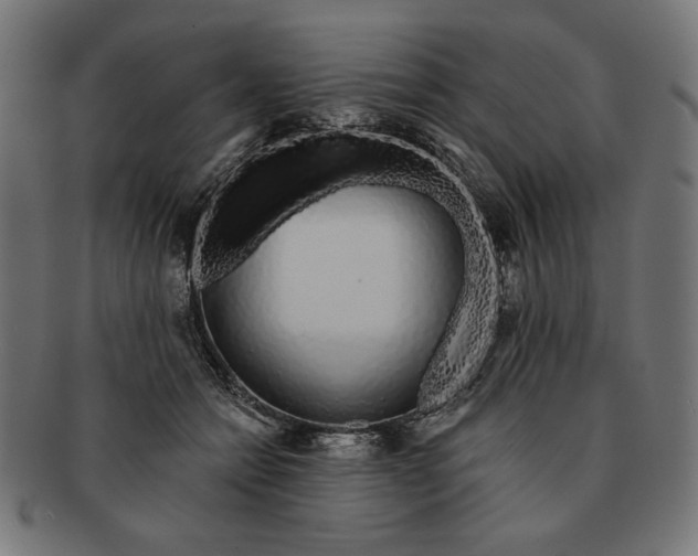 X0000091210558200709061442