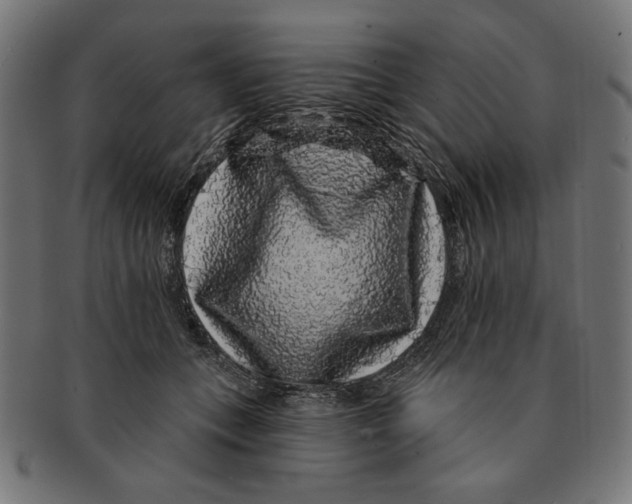 X0000091210559200709061442