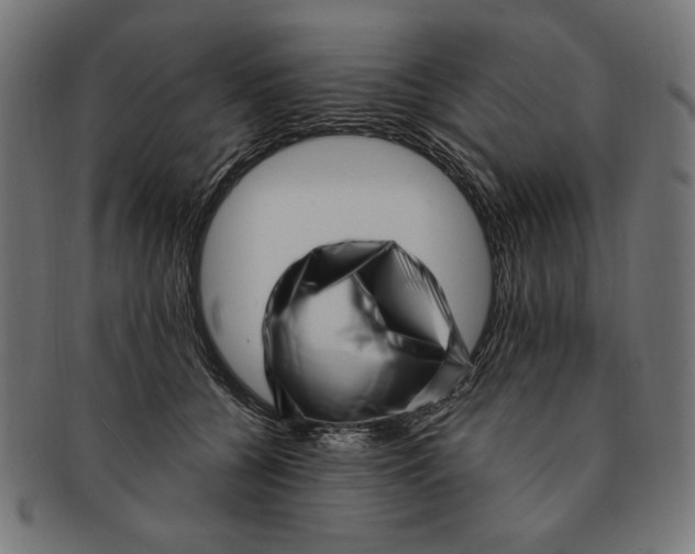 X0000091210560200709061442