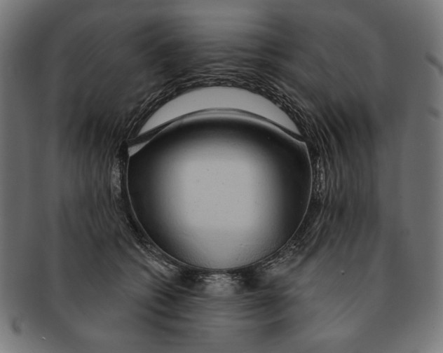 X0000091210562200709061442