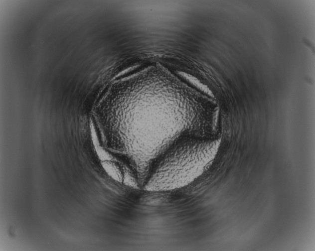 X0000091210563200709061442