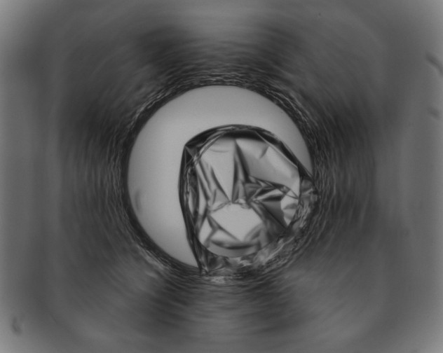 X0000091210564200709061442