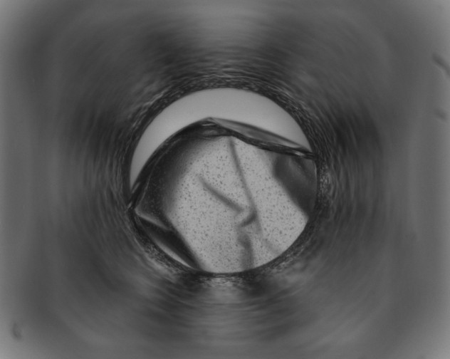 X0000091210566200709061442