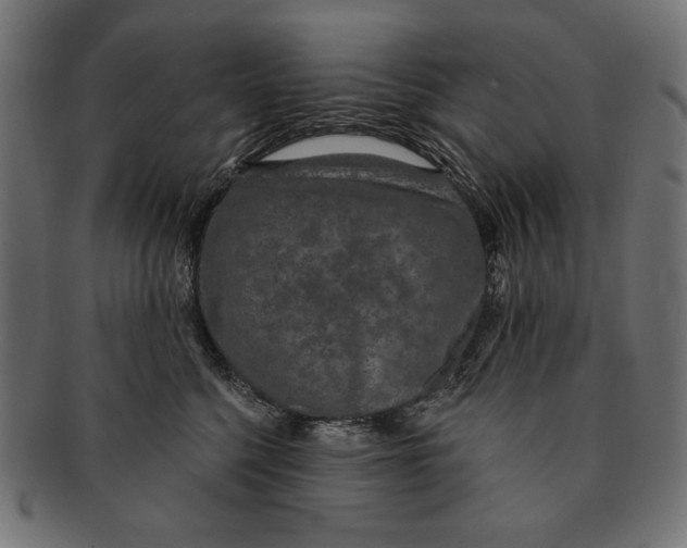 X0000091210568200709061442