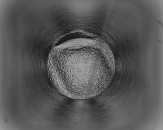 X0000091210569200709061442