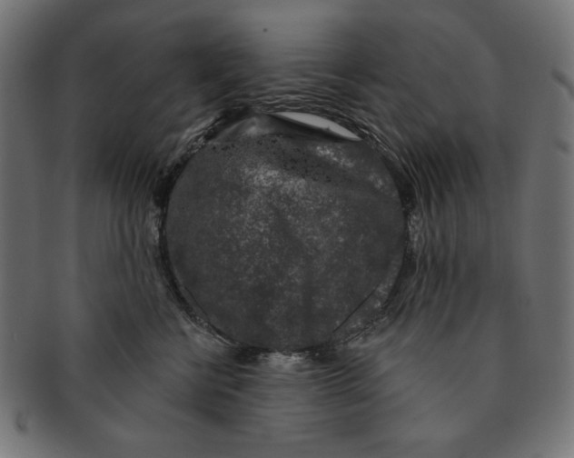 X0000091210570200709061442