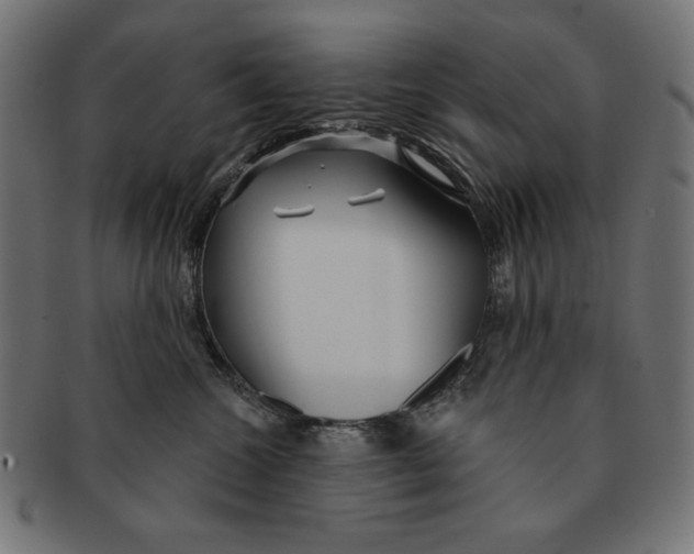 X0000091210572200709061442