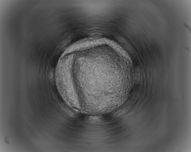 X0000091210573200709061442