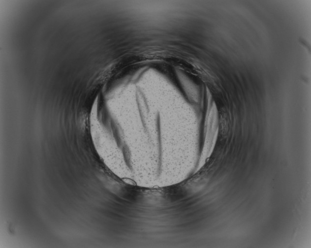 X0000091210574200709061442