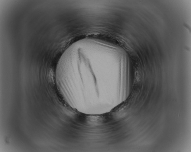 X0000091210575200709061442