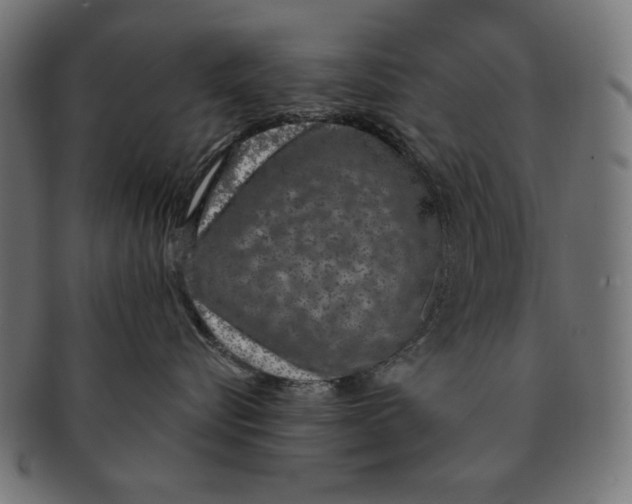 X0000091210576200709061442