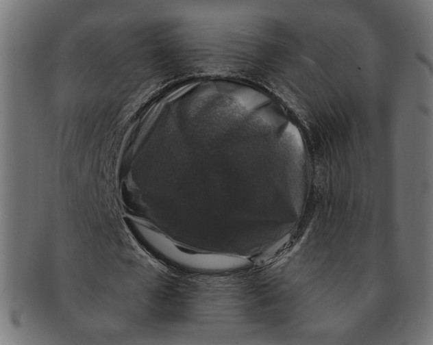 X0000091210577200709061441