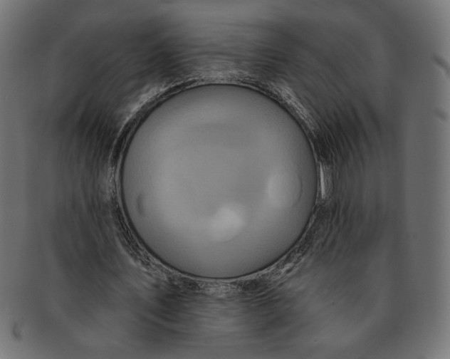 X0000091210579200709061441