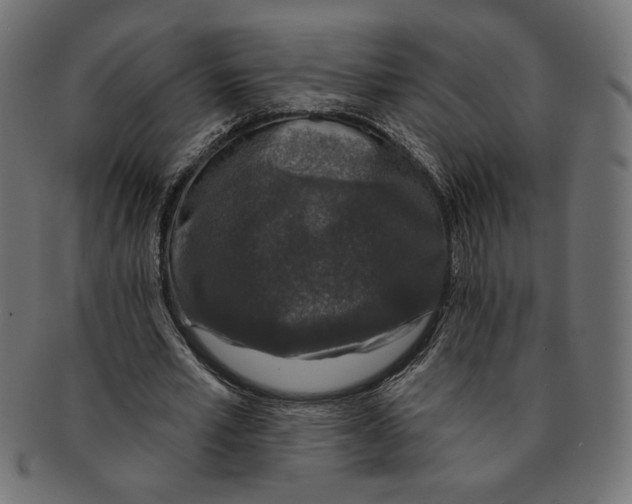 X0000091210581200709061441