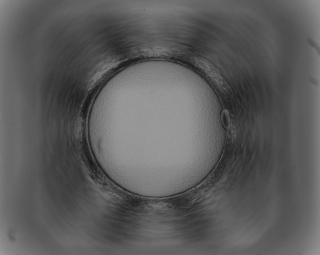 X0000091210583200709061441