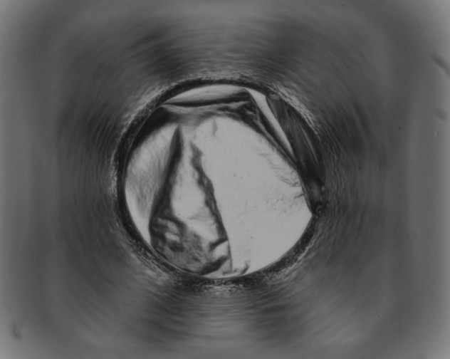 X0000091210584200709061441