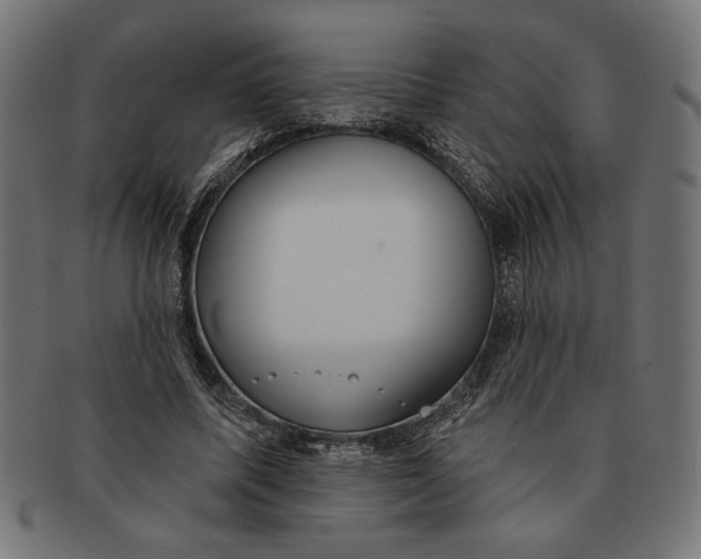 X0000091210587200709061441