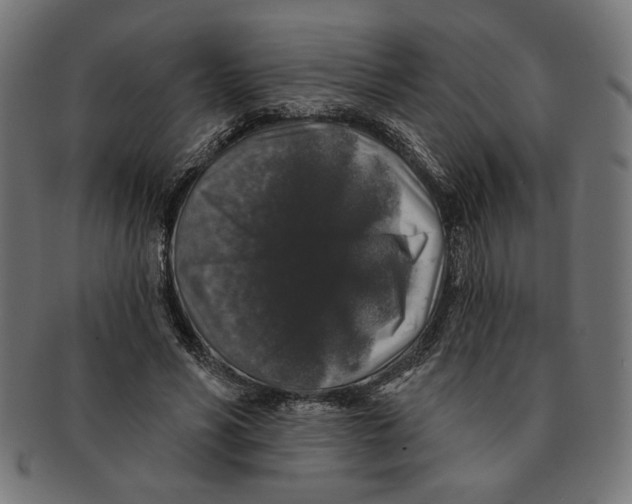 X0000091210590200709061441