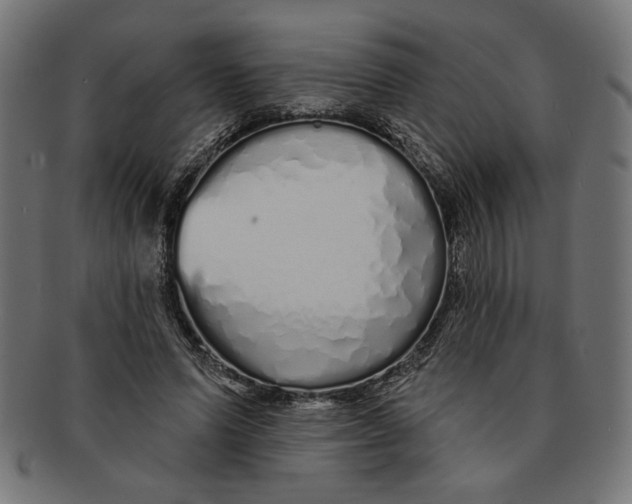 X0000091210591200709061441