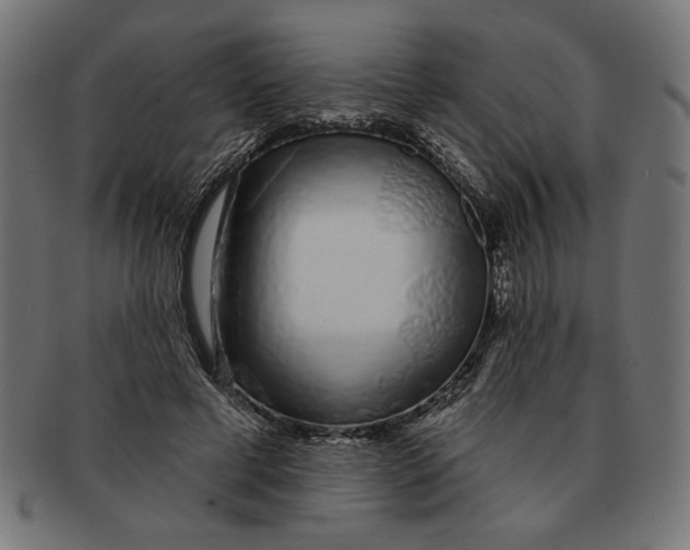 X0000091210593200709061441