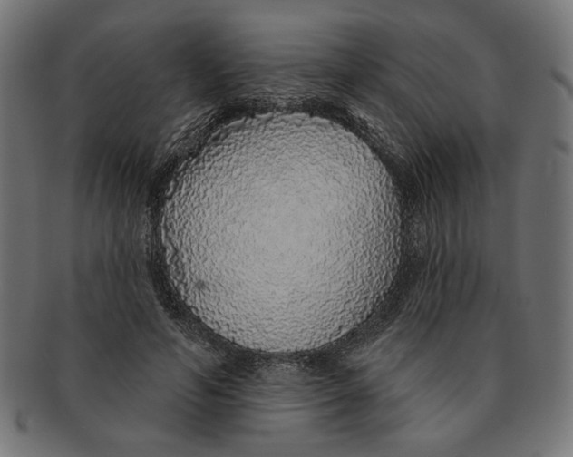 X0000091210594200709061441