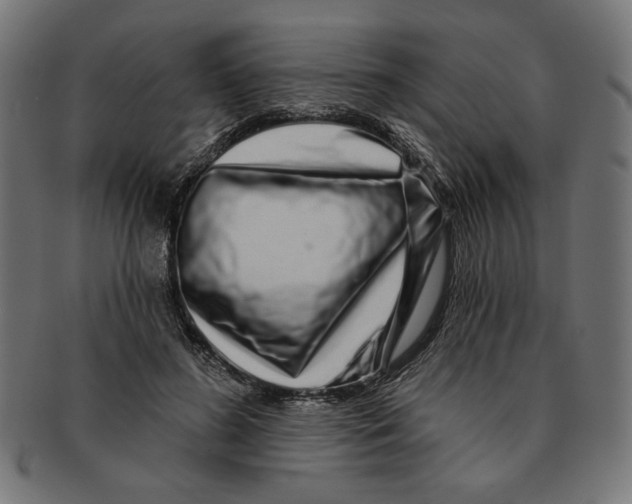 X0000091210596200709061441