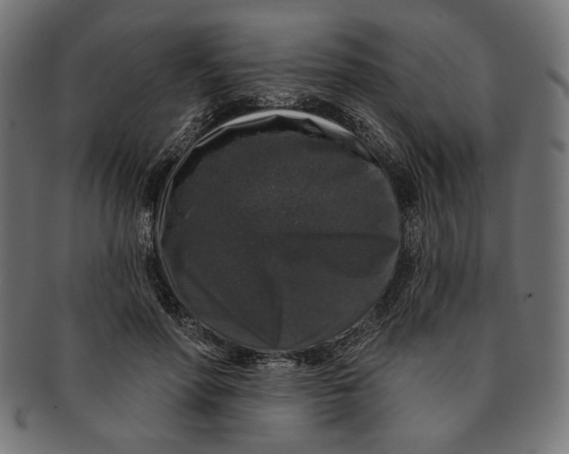 X0000091210598200709061441