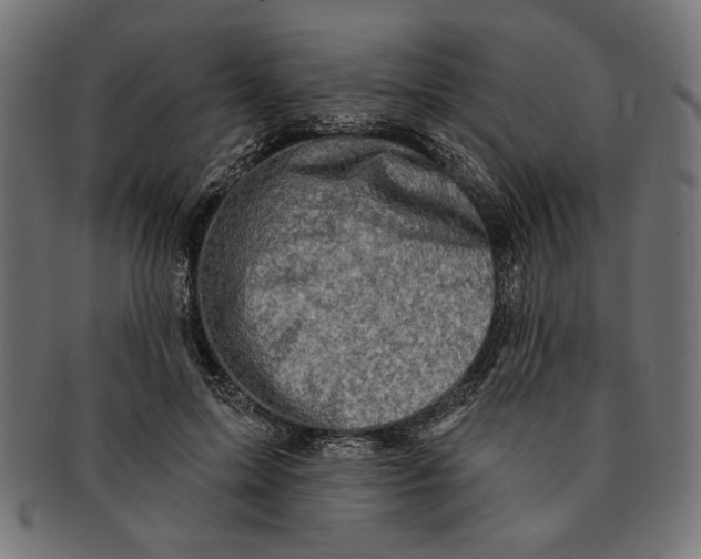 X0000091210599200709061441