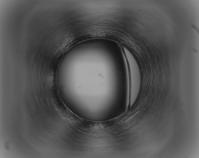 X0000091210600200709061441