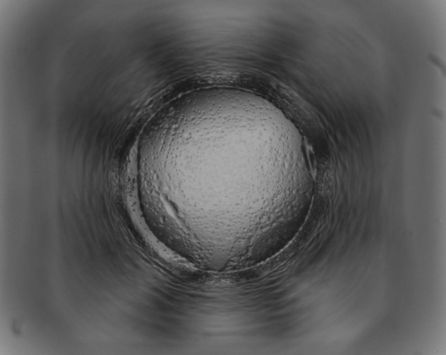 X0000091210604200709061441