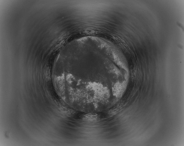 X0000091210606200709061441