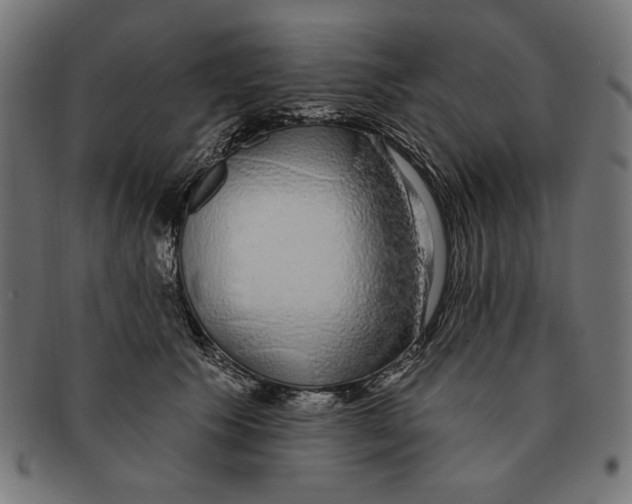 X0000091210609200709061441