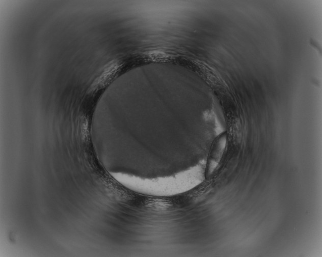 X0000091210610200709061441