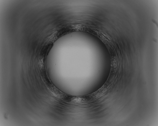 X0000091210611200709061441