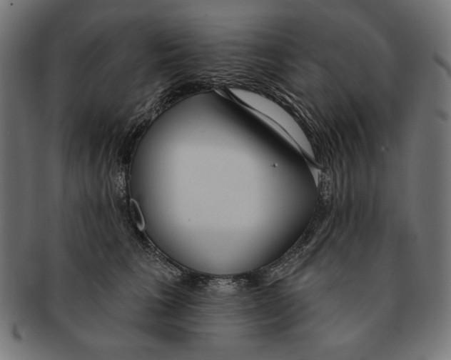 X0000091210613200709061441