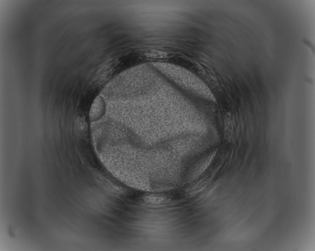 X0000091210614200709061441