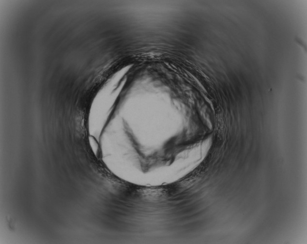 X0000091210615200709061441