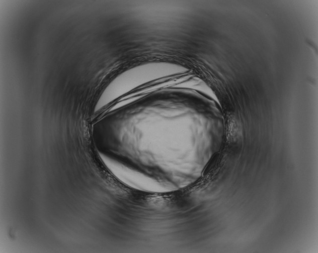 X0000091210616200709061441