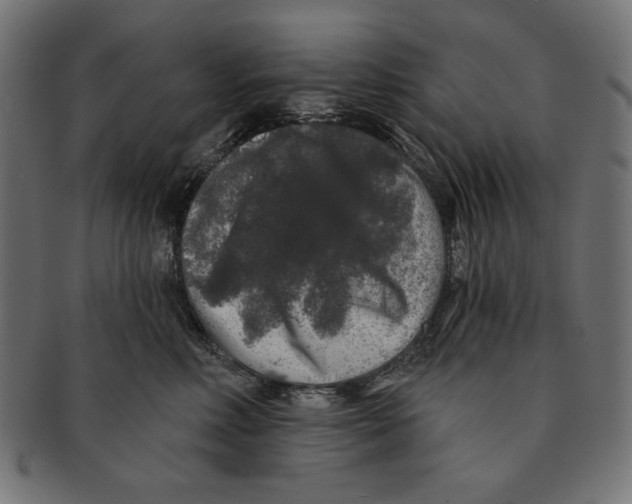 X0000091210618200709061441