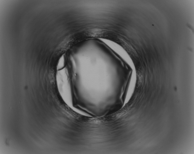 X0000091210620200709061441