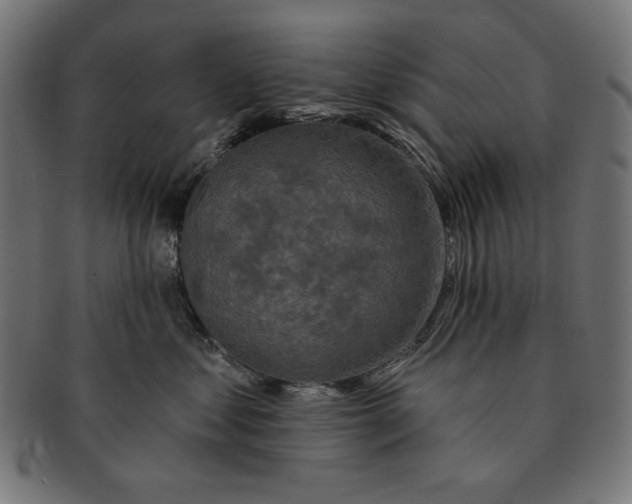 X0000091210621200709061441