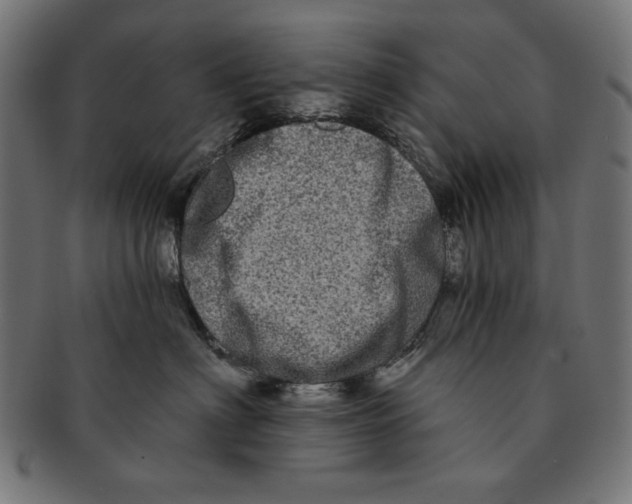 X0000091210622200709061441